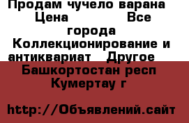 Продам чучело варана. › Цена ­ 15 000 - Все города Коллекционирование и антиквариат » Другое   . Башкортостан респ.,Кумертау г.